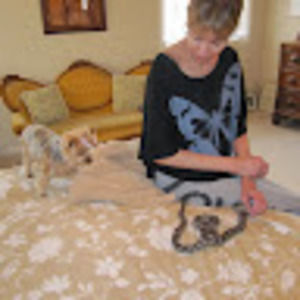 Meet your Posher, Nancy